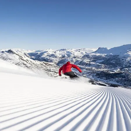 In & Out - Apartmán Hemsedal
