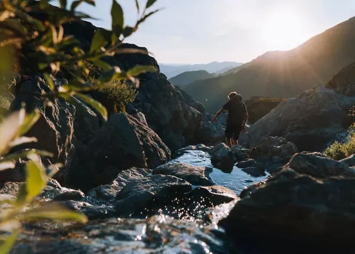 Lägenhet In & Out -